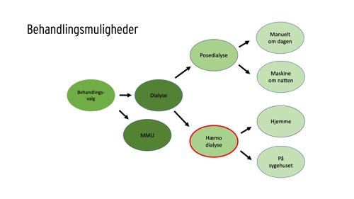 Behandlingsmuligheder: Oversigt over behandlingsformer ved nyresvigt med highlight af hæmodialyse