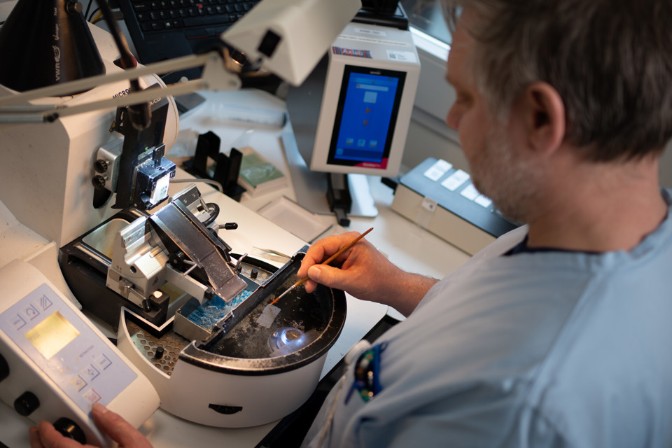 Trin 5: Vævsstykker i paraffin skal skæres i tynde skiver med en tykkelse på 0,003 mm. Dette kan enten ske manuelt eller på automatisk skæremaskine.