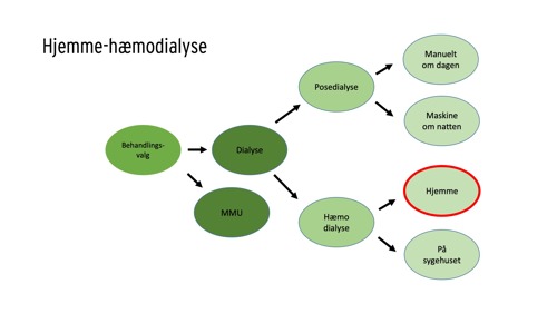 Oversigt over behandlingsvalg med highlight af behandlingsmuligheden hjemme-hæmodialyse.