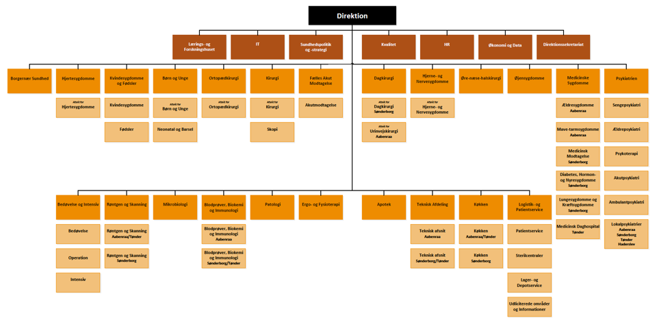 Organisationsdiagram som viser sygehusets 30 afdelinger.