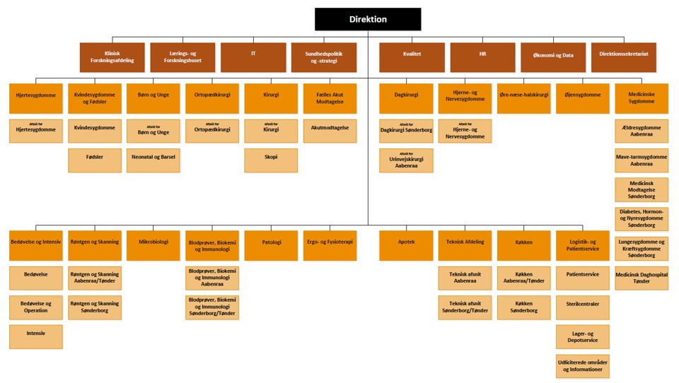 Organisationsdiagram som viser sygehusets 29 afdelinger.