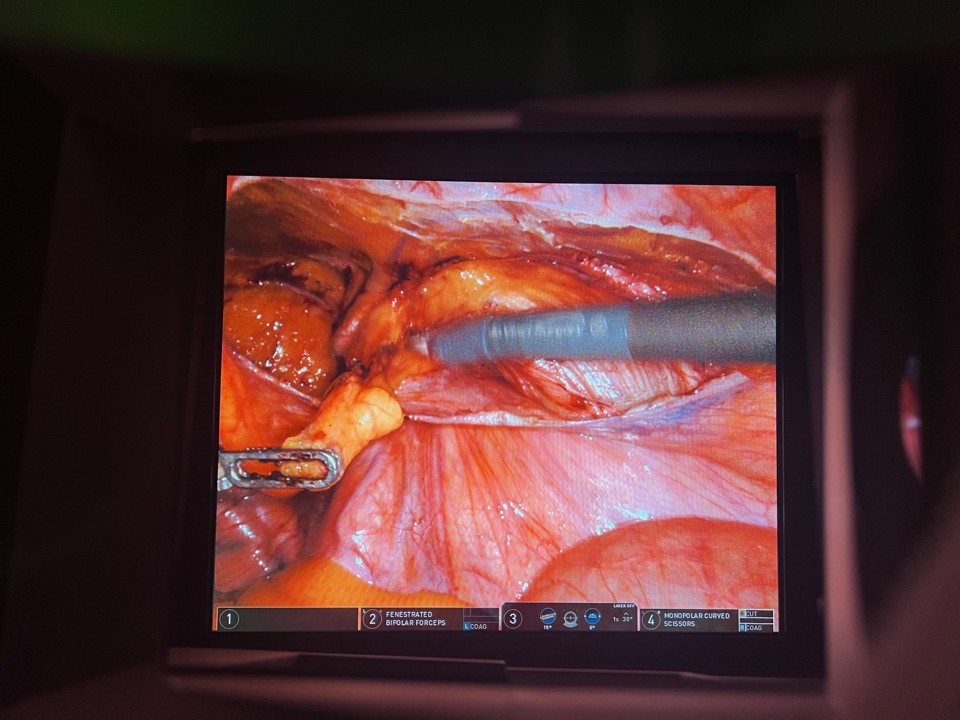 Billedet som lægen ser