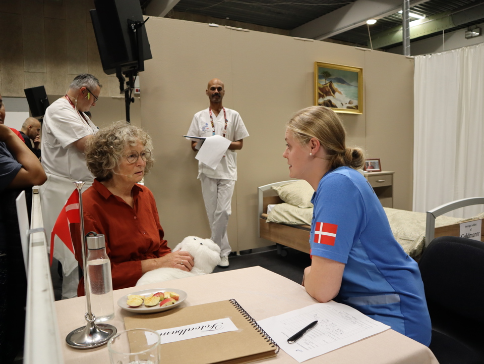 De ni cases handlede om alt det, som man skal kunne som sosu