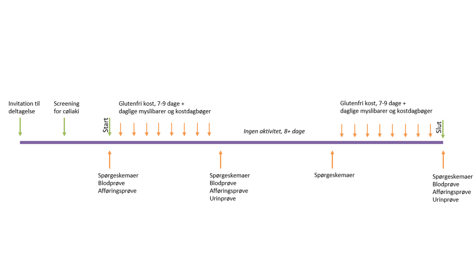 Forløb for deltagere