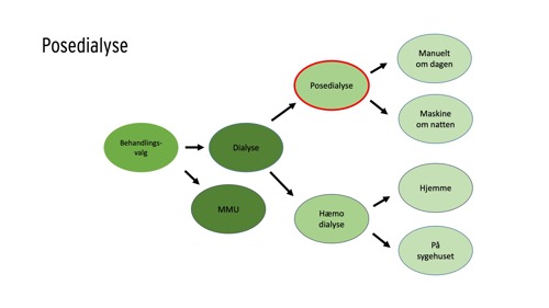 Diagram med oversigt over behandlingsmuligheden posedialyse med valgmulighed enten manuelt om dagen eller maskine om natten