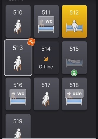 Patienternes bevægelser ses som små, anonymiserede piktogrammer – en slags tændstikfigurer - på en computerskærm.