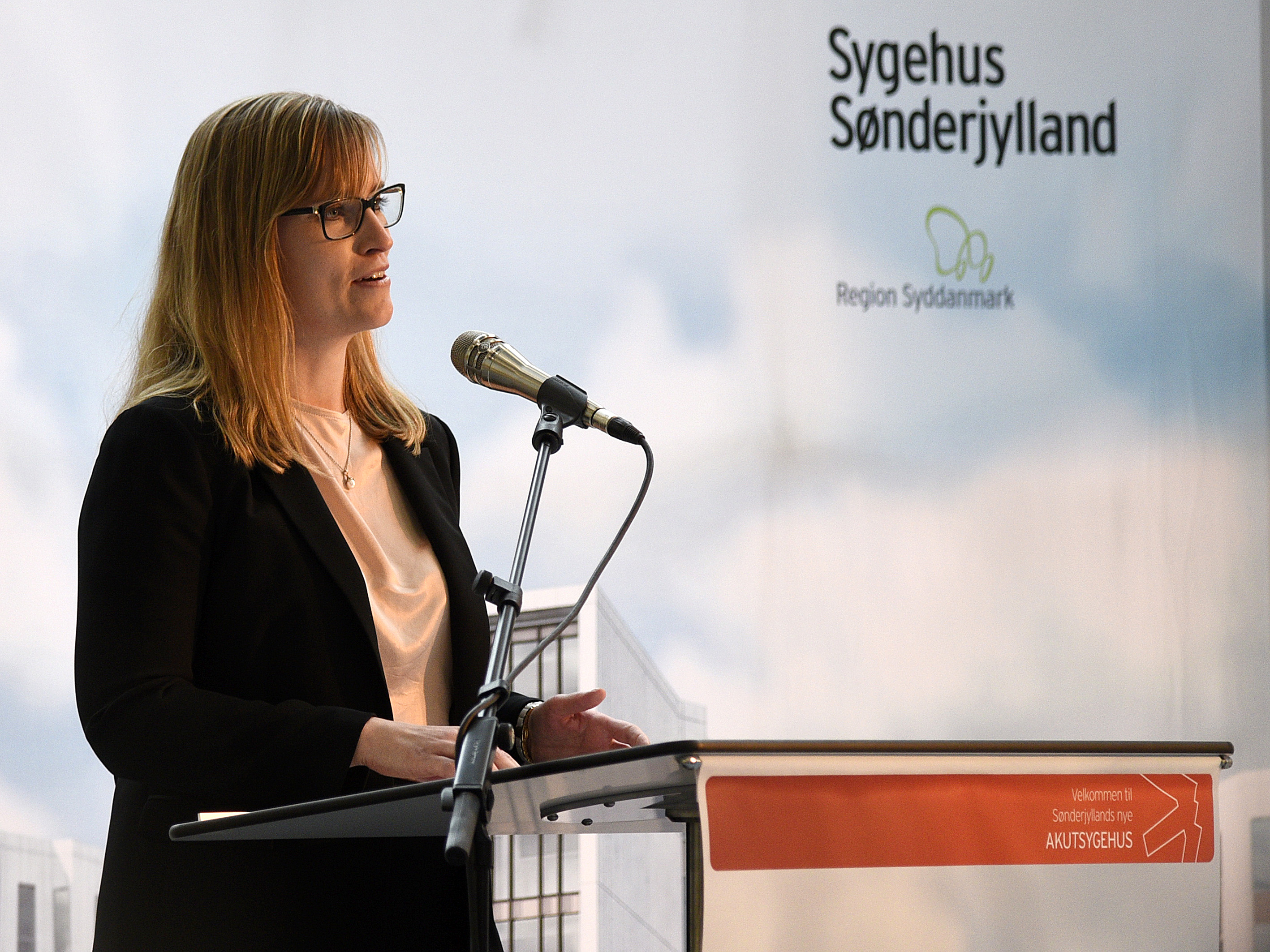 Regionsrådsformanden holder tale.